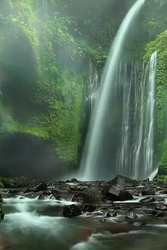 探索天涯,尽在项少龙为什么去秦朝