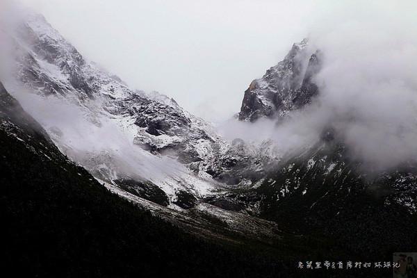 制作芒果千层蛋糕需要哪些材料？游戏画面